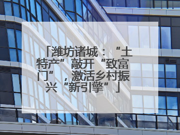 潍坊诸城：“土特产”敲开“致富门”，激活乡村振兴“新引擎”